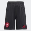 Dětské šortky adidas LFC A SHO Y - foto 0