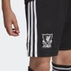 Dětské šortky adidas LFC 3 GK SHO Y - foto 5