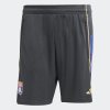 Pánské šortky adidas OL TR SHO - foto 0