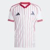 Pánské tričko adidas AFC US SHIRT - foto 0