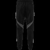 Pánské tepláky adidas TIRO25C PRE PNT - foto 12