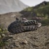 Dámské outdoorové boty adidas TERREX FREE HIKER 2 LOW W - foto 22