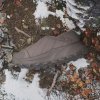 Outdoorové boty adidas TERREX WINTER SLIP ON COLD.RDY - foto 17