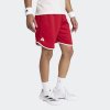 Pánské šortky adidas CLASSICS SHORT - foto 1