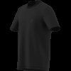 Pánské tričko adidas M TERREX G T - foto 13