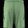 Pánské šortky adidas TIRO24 SHO - foto 13