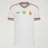 Pánský dres adidas HFF A JSY AU - foto 11