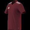 Pánský dres adidas T ICON25 JSY M - foto 16
