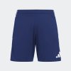 Pánské šortky adidas TIRO25C TR SHO - foto 1