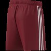 Pánské šortky adidas TASTIGO25 SHO M - foto 12