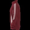 Pánská mikina adidas TIRO24 TRJKT - foto 9