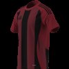 Pánský dres adidas STRIPED 24 JSY - foto 10