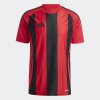 Pánský dres adidas STRIPED 24 JSY - foto 1