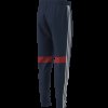 Pánské tepláky adidas TIRO ES WINPNT - foto 10