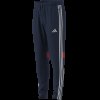 Pánské tepláky adidas TIRO ES WINPNT - foto 14