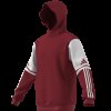 Pánská mikina adidas SQ25 SW HOOD - foto 14