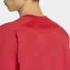 Pánské tričko adidas RBFA TT TEE - foto 5