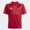 Dětský dres adidas T ICON25 JSY Y - foto 1