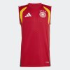 Pánský dres adidas DFB TR SL JSY - foto 0