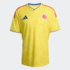 Pánský dres adidas FCF H JSY - foto 0