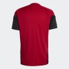 Pánský dres adidas DFB TR JSY - foto 1