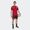 Pánský dres adidas DFB TR JSY - foto 4