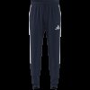 Pánské tepláky adidas TIRO26L PNTR - foto 7