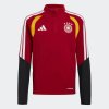 Dětská mikina adidas DFB TR TOPY - foto 0