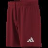 Pánské šortky adidas ENT26 SHO - foto 16