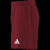 Pánské šortky adidas ENT26 SHO - foto 15