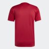 Pánský dres adidas ENT26 GFX JSY - foto 1