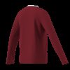 Dětský dres adidas ENT26 JSY LS Y - foto 10