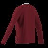 Dětský dres adidas ENT26 JSY LS Y - foto 12