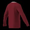 Pánský dres adidas ENT26 JSY LS - foto 12