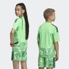 Dětský dres adidas T26 C GK JSY Y - foto 7