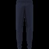 Pánské tepláky adidas TT SW PNT - foto 10