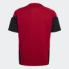 Dětský dres adidas DFB TR JSYY - foto 1