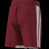 Dětské šortky adidas TIRO26 C M SHOY - foto 11