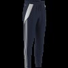 Pánské tepláky adidas TIRO24 TRPNT S - foto 10