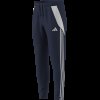 Pánské tepláky adidas TIRO24 TRPNT S - foto 16