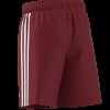 Dětské šortky adidas TASTIGO25 SHO Y - foto 13