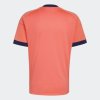 Pánský dres adidas DFB A GK JSY - foto 1
