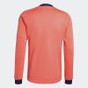 Pánský dres adidas DFB A GK JSY L - foto 1