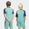 Dětský dres adidas DFB PRESHI A Y - foto 7