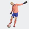 Pánské šortky adidas DFB A GK SHO P - foto 4