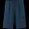 Pánské šortky adidas WE BAS 3SPQ S9i - foto 6