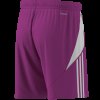 Pánské šortky adidas TIRO24 SHO - foto 12