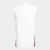 Pánský dres adidas DFB TR SL JSY - foto 1