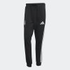 Pánské tepláky adidas DFB DNA FL PNT - foto 1