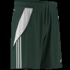 Pánské šortky adidas TIRO24 SHO - foto 4